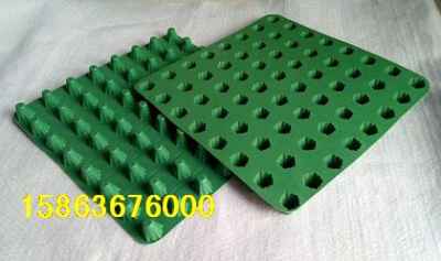 湖北十堰楼顶绿化塑料排水板市场迎来新机遇，建筑建材行业绿色转型提速